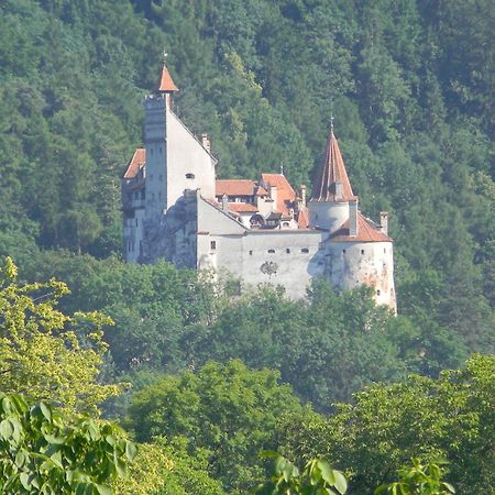 Transylvanian Inn Bran  Zewnętrze zdjęcie