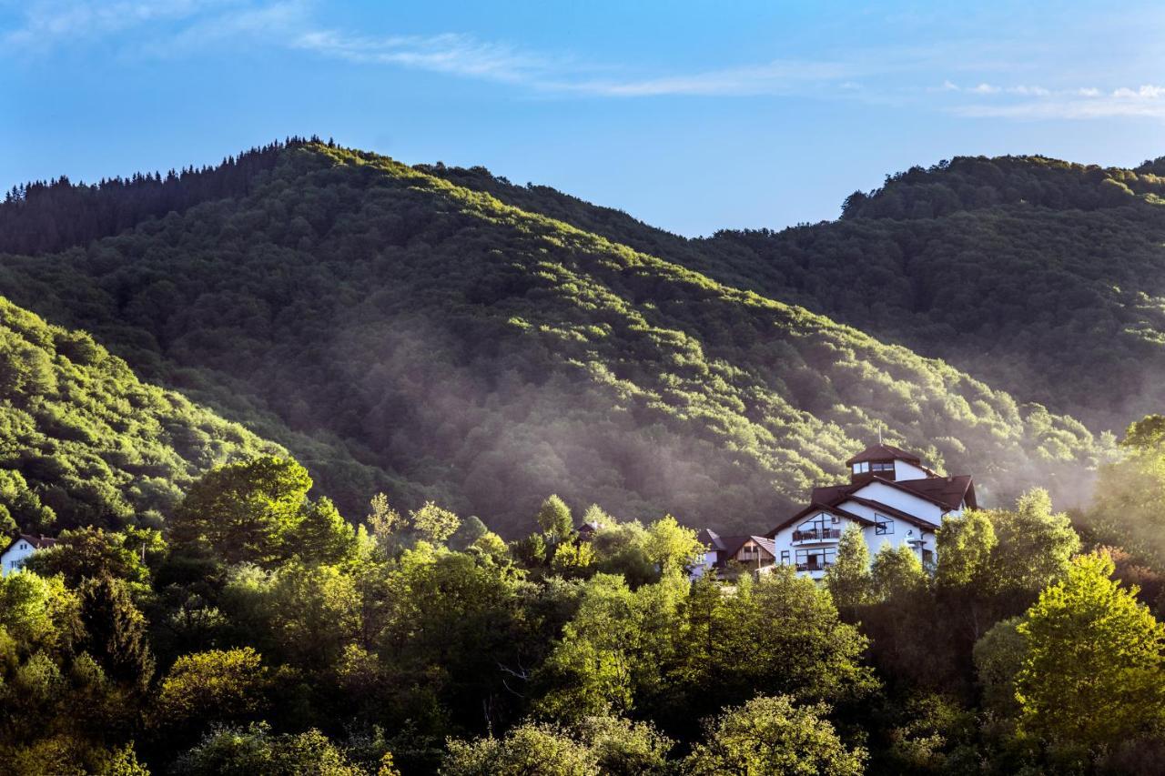 Transylvanian Inn Bran  Zewnętrze zdjęcie