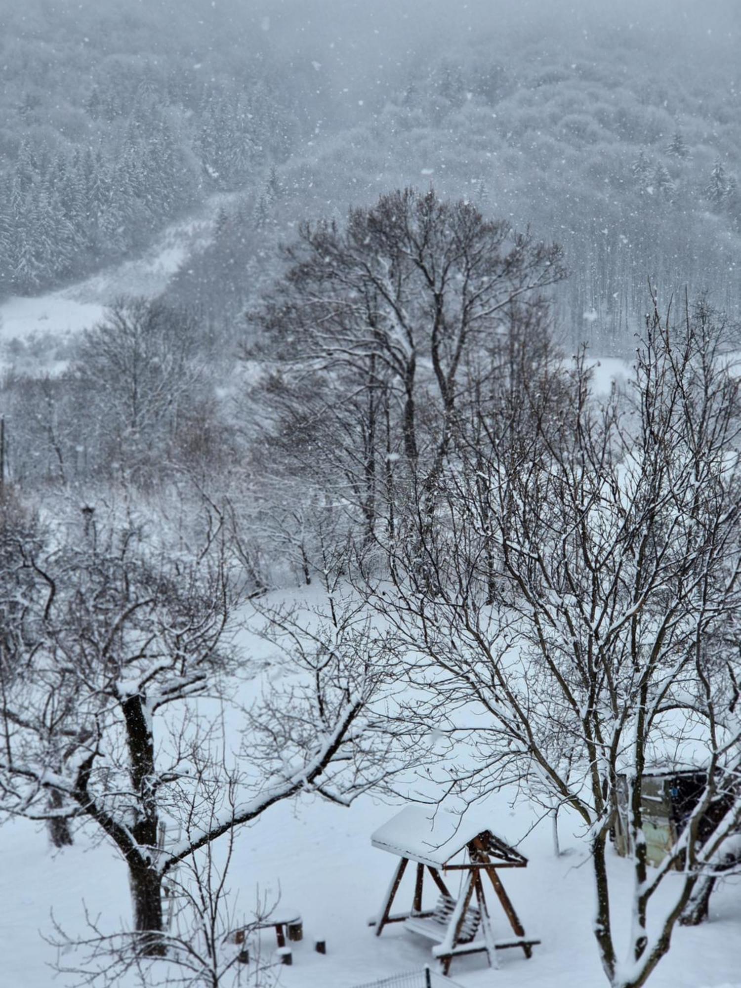 Transylvanian Inn Bran  Zewnętrze zdjęcie