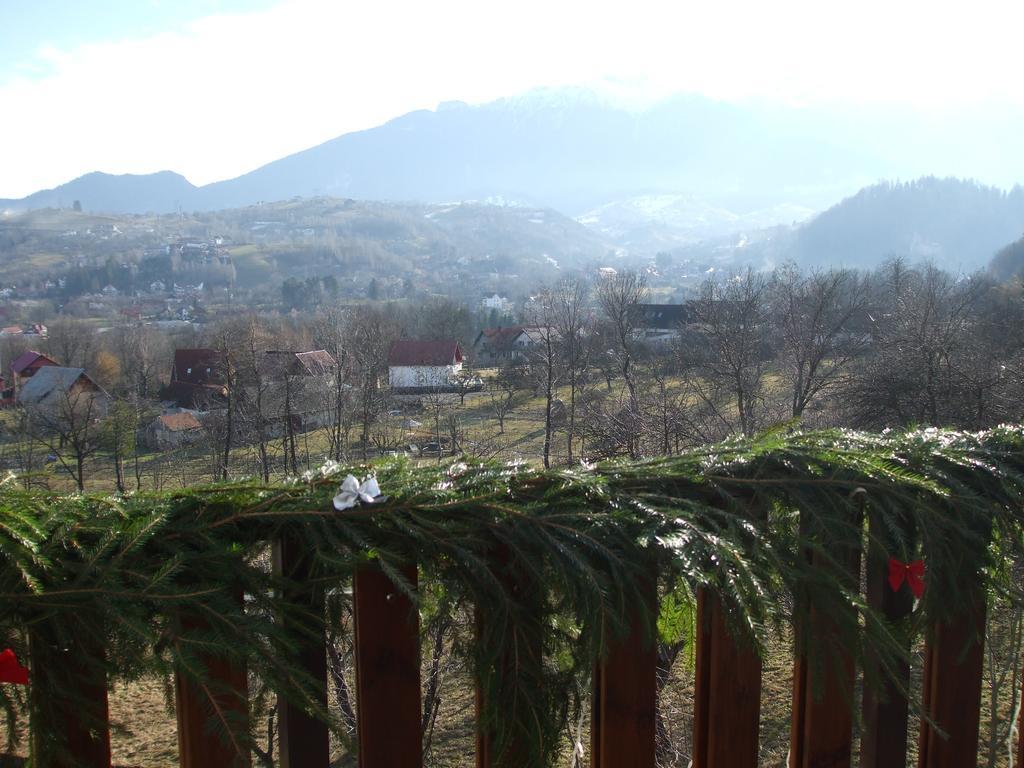 Transylvanian Inn Bran  Zewnętrze zdjęcie