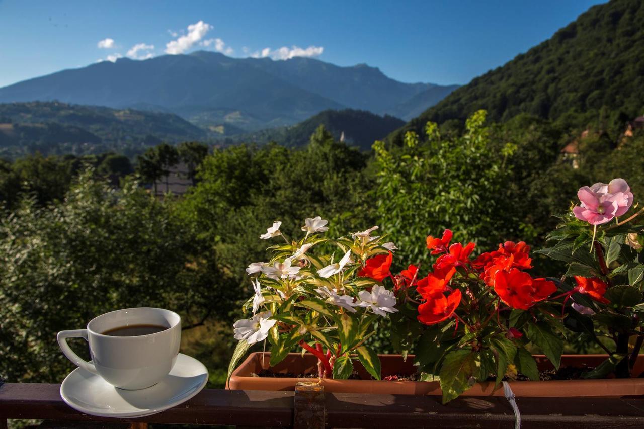 Transylvanian Inn Bran  Zewnętrze zdjęcie